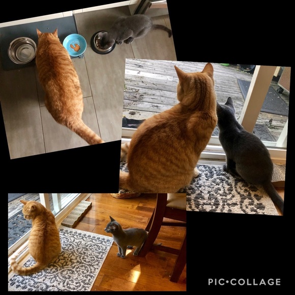 Meet your Posher, Helen - Picture 6 of 8